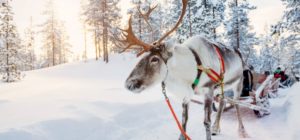 15 приємних справ, які ви повинні зробити цієї зими