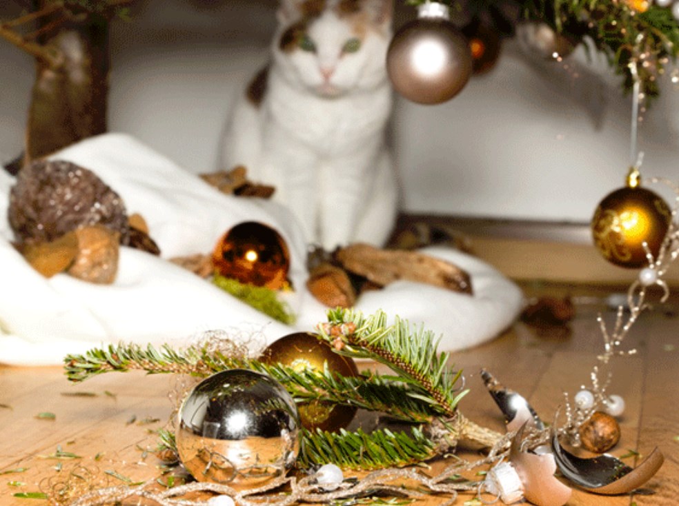 кіт і ялинка