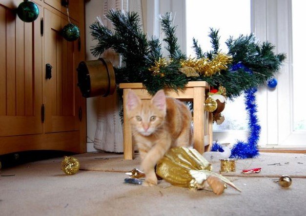 кіт і ялинка