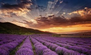 Дивовижно красиві місця світу: 10 локацій, де перехоплює дух від вражень!