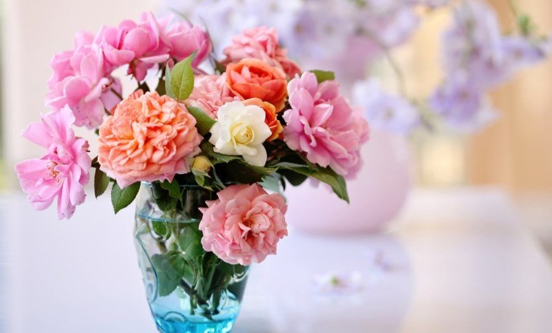 весняний настрій