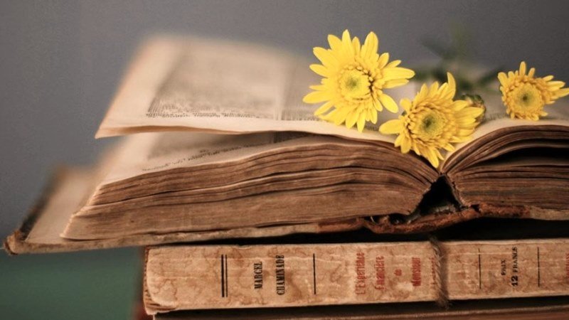 паперові книги