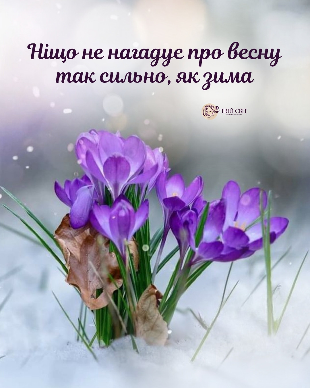 цитати про зиму весну