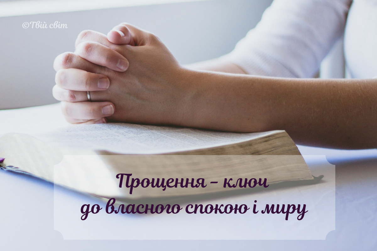 неділя прощення