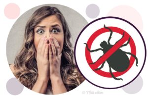 Якщо вкусив кліщ: чого робити НЕ можна та як поводитися правильно