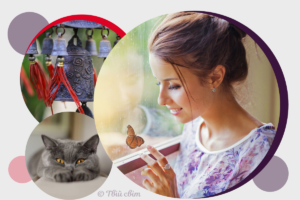 Як притягнути удачу в дім: 5 спільних порад від психологів та експертів фен-шуй