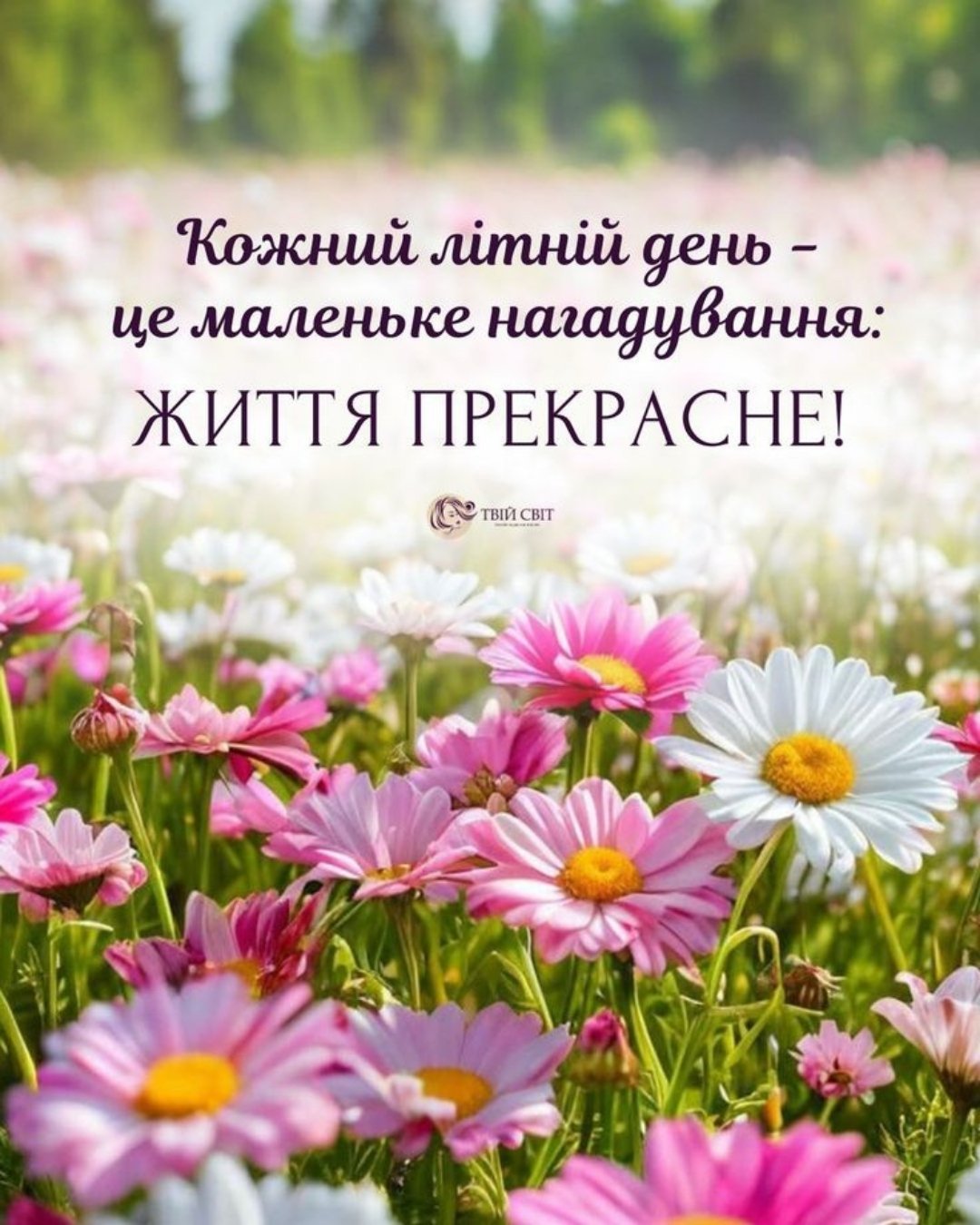 цитати про літо