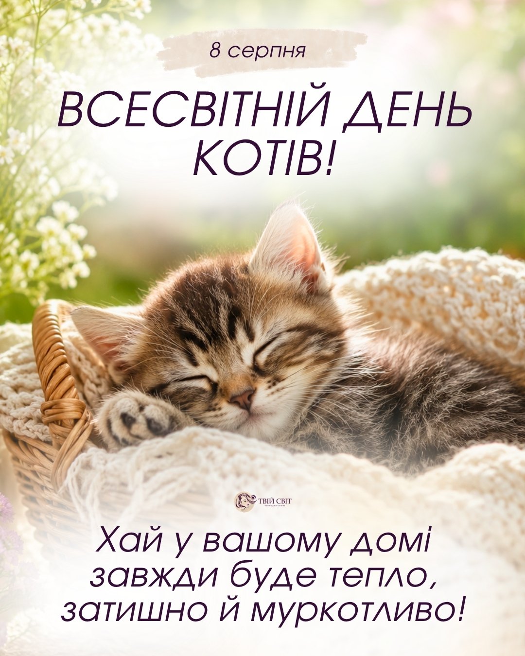 Всесвітній день котів, з днем котів картинки, з днем котів