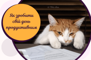 5 ранкових помилок, які псують продуктивний день (показуємо на котиках)
