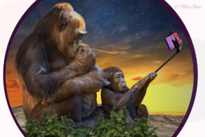 Життя, освіта і послуги в режимі онлайн – нова ознака бідності