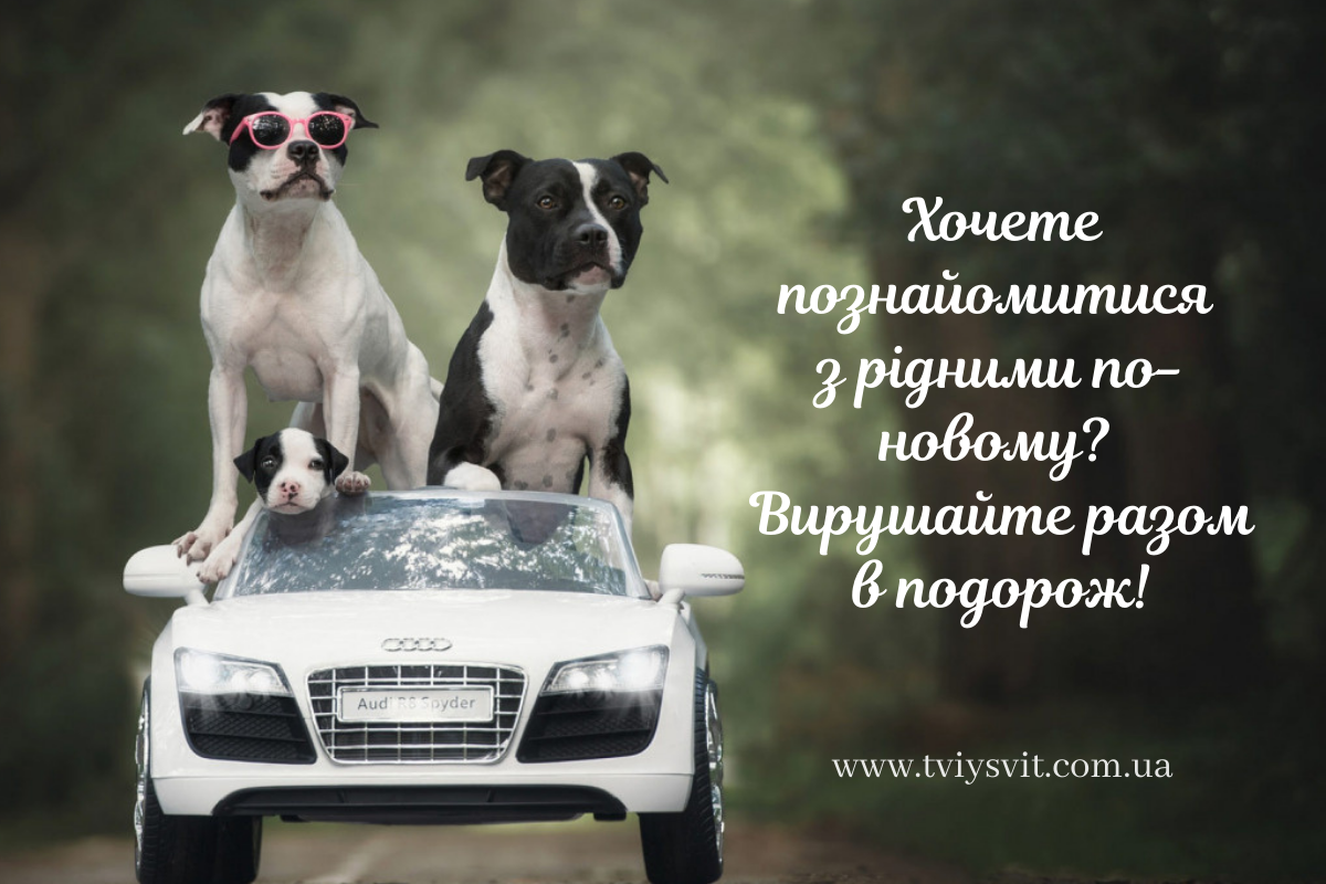 цитати про подорожі