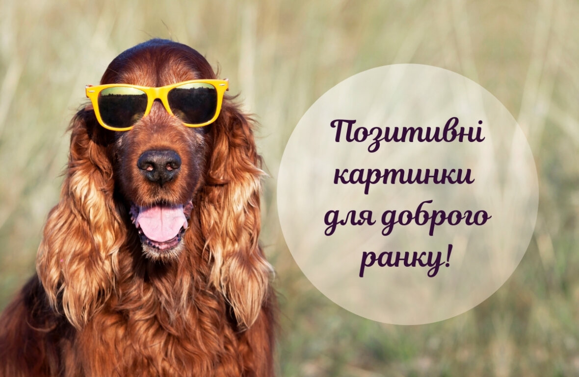 доброго ранку