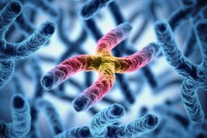 Де зробити каріотипування у Києві у надійній ДНК лабораторії?