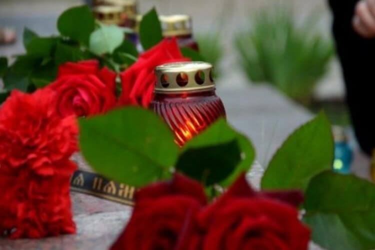 провідна неділя