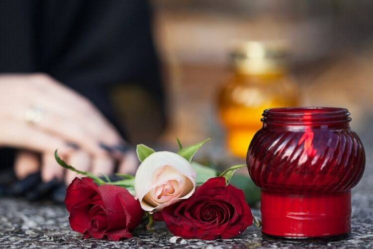 провідна неділя