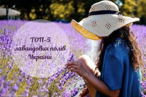 Найкрасивіші лавандові поля України: ТОП-5 місць для ідеальної фотосесії
