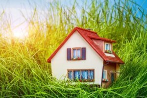 Чому варто інвестувати в землю та як обирати ділянку