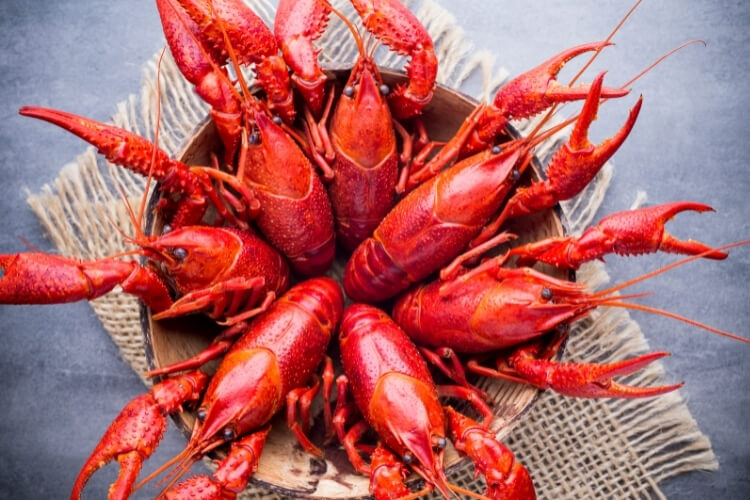 раки, купити раки