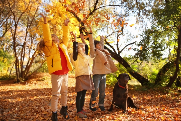 вірші про осінь для дітей