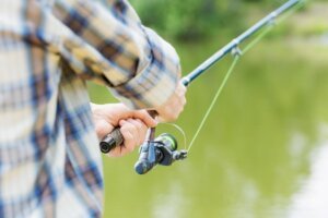 Ехолоти Garmin: модельний ряд та функціональність