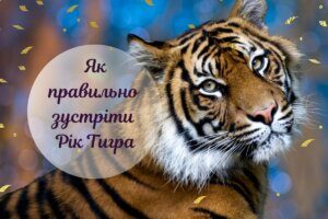 Зустрічаємо Рік Тигра 2022: як підібрати одяг і накрити стіл для новорічної вечірки