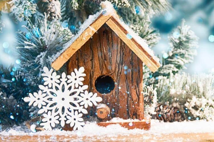 зима, вірші про зиму