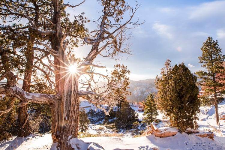 День зимового сонцестояння, найкоротший день, зимове сонцестояння