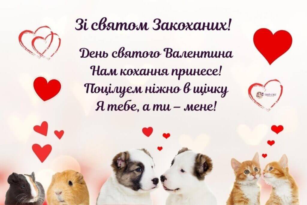 прикольні картинки з днем святого Валентина