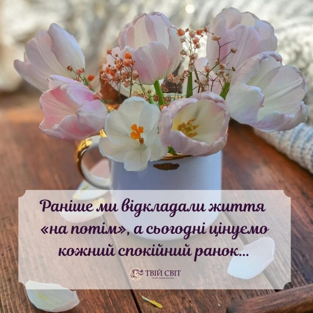 цитати, картинки