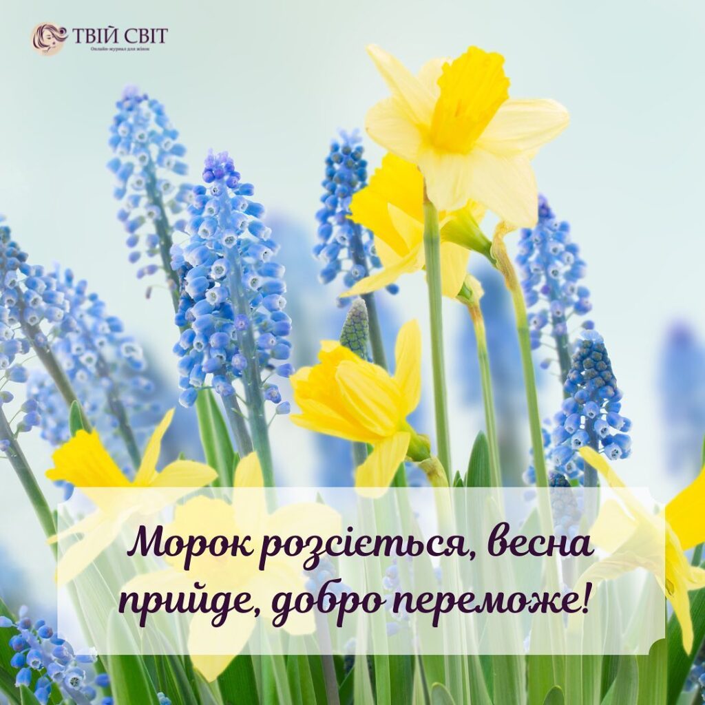 листівки, цитати