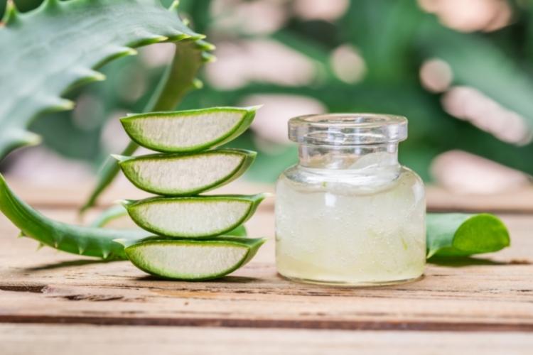 користь алое
