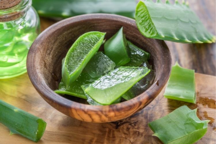 листя алое