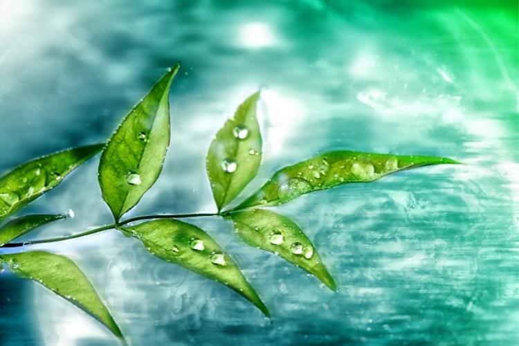 Чистий четвер