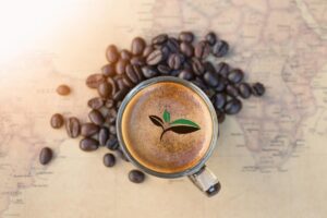 Органічна кава та її особливості: де придбати бажаний сорт у Києві