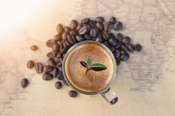 Органічна кава