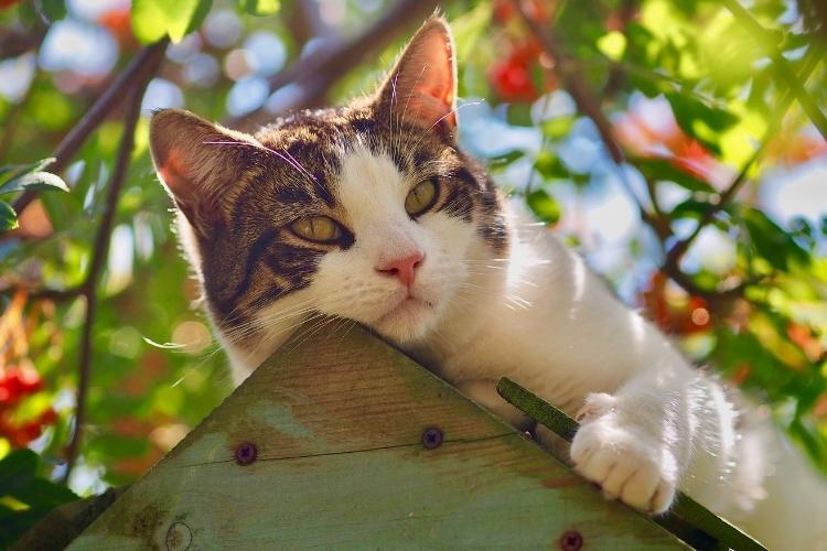 Вірші про кінець літа