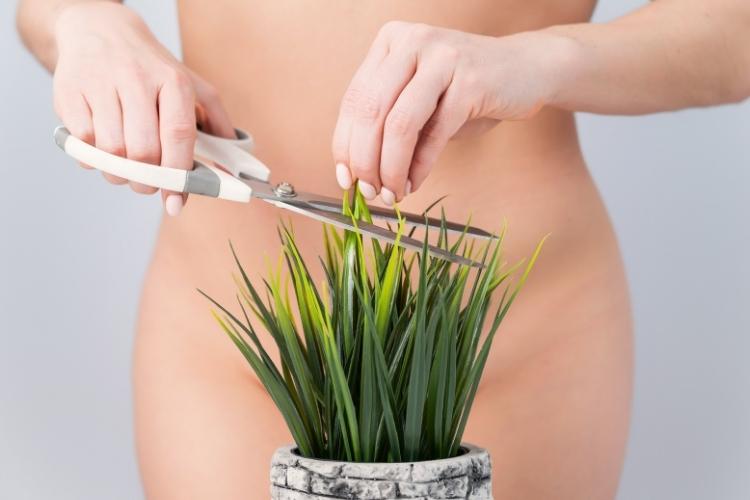 лазерна епіляція бікіні