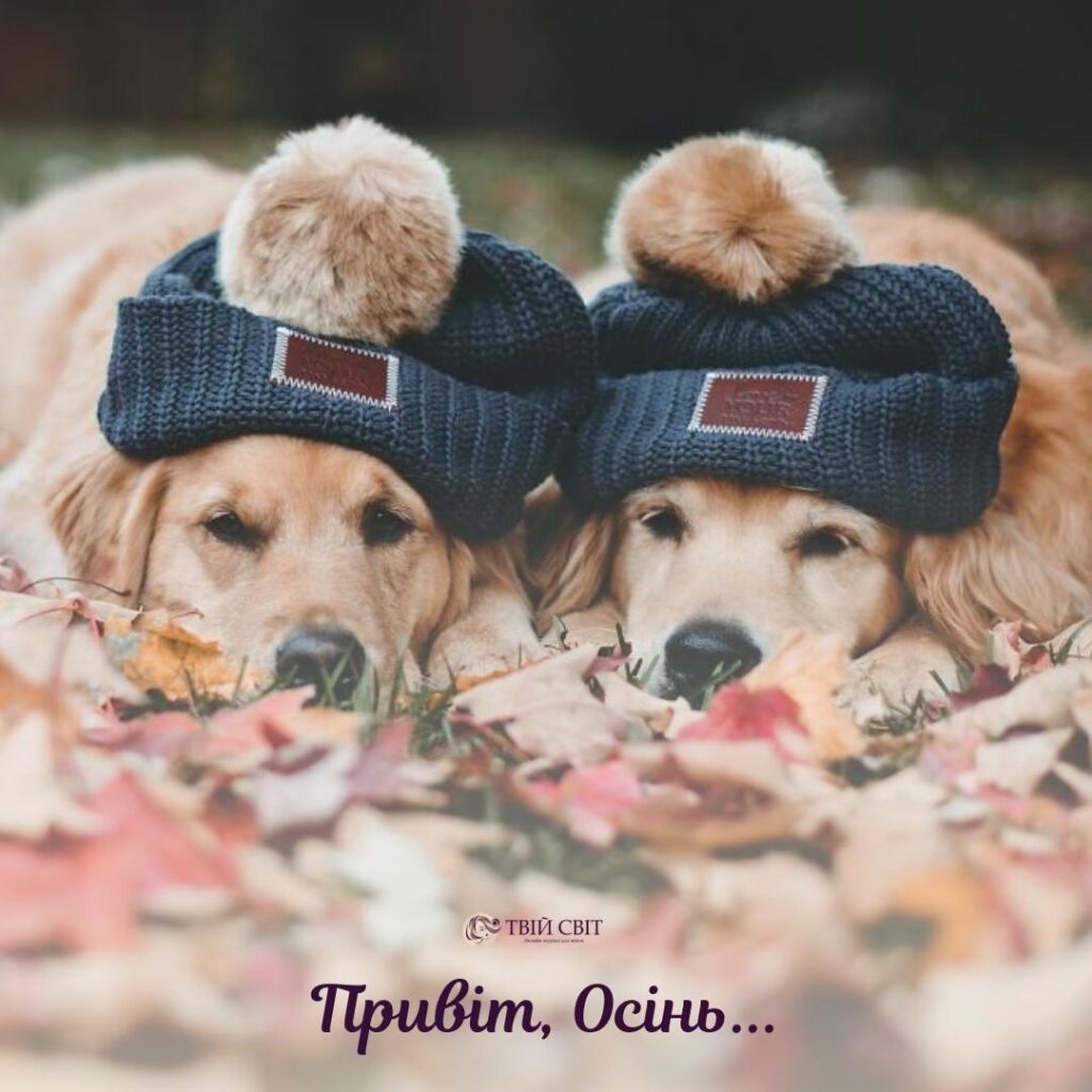 привіт осінь
