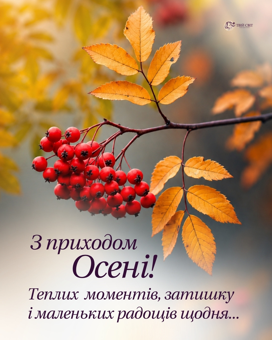 Привіт осінь, осінь картинки, картинки про осінь, привіт осінь картинки
