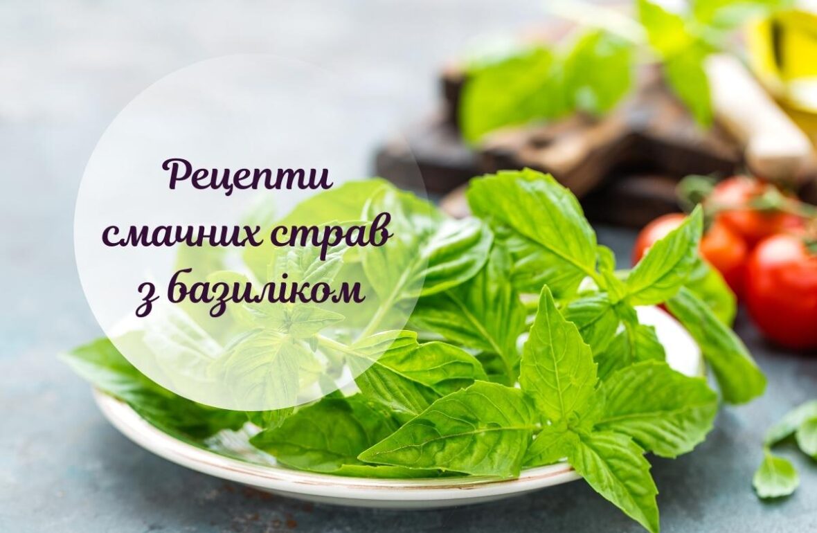 Рецепти з базиліком