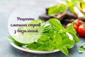 Рецепти з базиліком