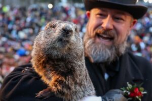 День бабака: як тваринка прогнозує погоду і чому свято таке популярне