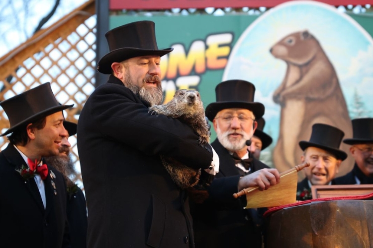 День бабака