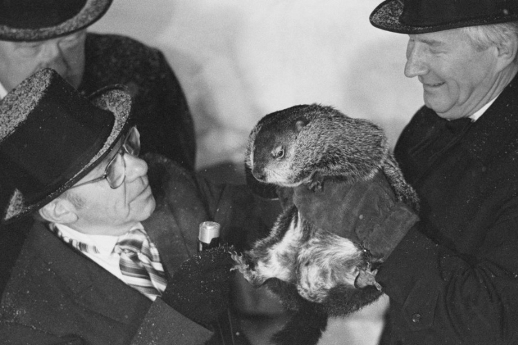 День бабака