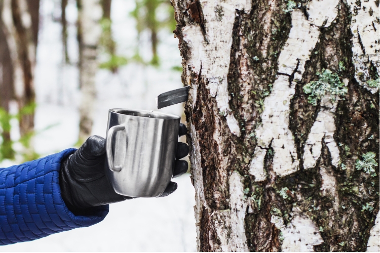 березовий сік