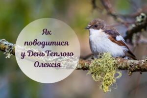 17 березня — день Теплого Олекси: що це за свято і які його традиції