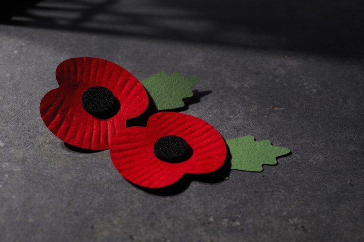 День пам'яті і примирення, червоний мак