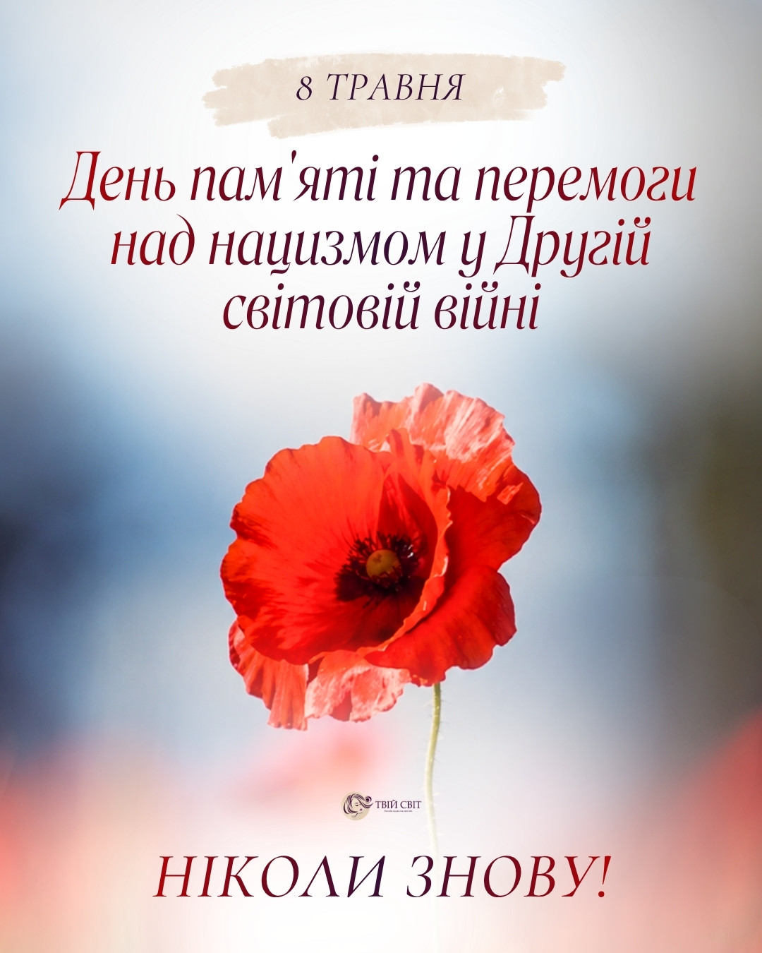 ніколи знову, День пам'яті і примирення