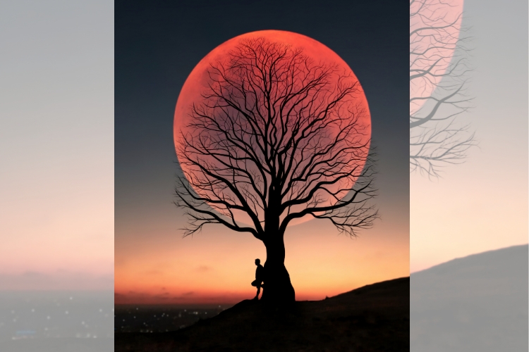 Полунична повня