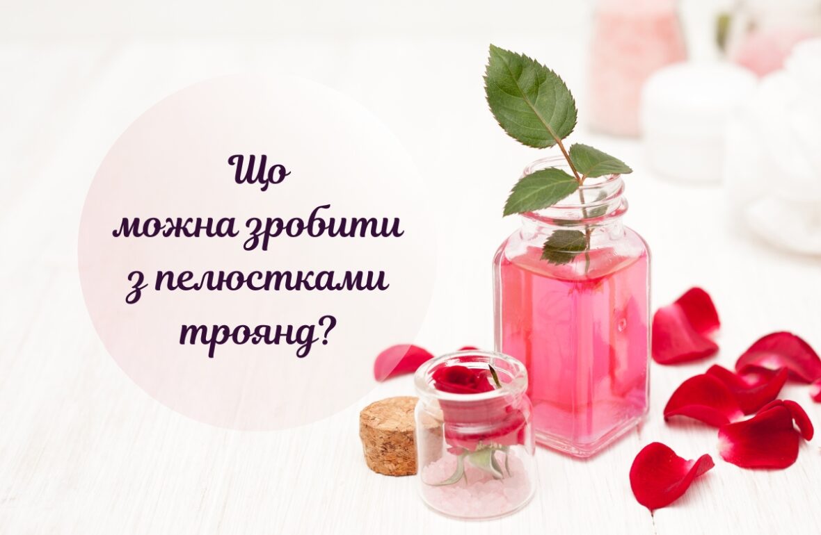 Що зробити з пелюстками троянд